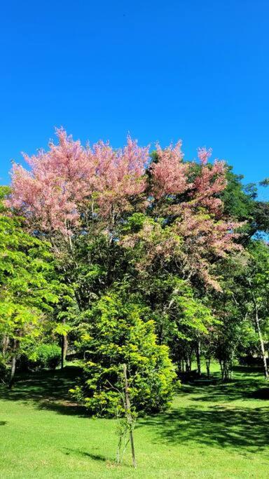 Recanto Dos Beija Flores, Chale Bougainville Monte Alegre do Sul Exterior photo