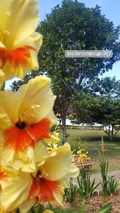 Recanto Dos Beija Flores, Chale Bougainville Monte Alegre do Sul Exterior photo